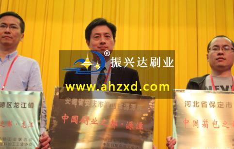 安徽潜山市源潭镇被授予“中国刷业之都”称号