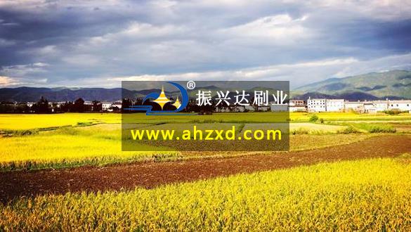 潜山：稻花香里乡村游
