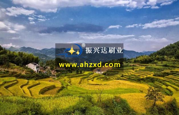 潜山：稻花香里乡村游